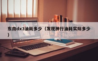 东南dx3油耗多少（发现神行油耗实际多少）