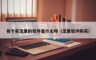 有个买流量的软件是什么呀（流量软件购买）