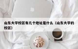 山东大学校区有几个地址是什么（山东大学的校区）