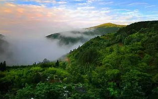 天目山门票,东天目山要门票吗？