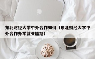 东北财经大学中外合作如何（东北财经大学中外合作办学就业尴尬）