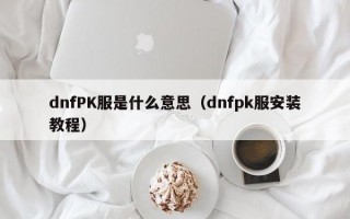 dnfPK服是什么意思（dnfpk服安装教程）