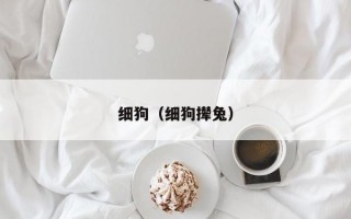 细狗（细狗撵兔）