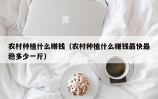 农村种植什么赚钱（农村种植什么赚钱最快最稳多少一斤）