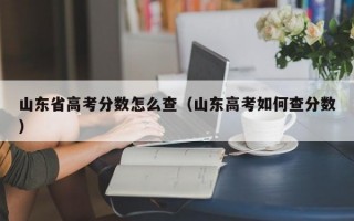 山东省高考分数怎么查（山东高考如何查分数）