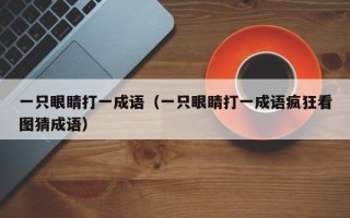 一只眼睛打一成语（一只眼睛打一成语疯狂看图猜成语）