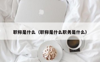 职称是什么（职称是什么职务是什么）