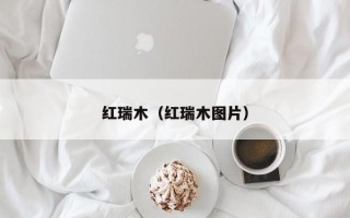 红瑞木（红瑞木图片）