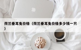 荷兰垂耳兔价格（荷兰垂耳兔价格多少钱一只）