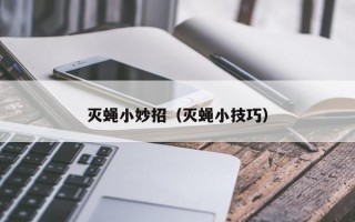 灭蝇小妙招（灭蝇小技巧）