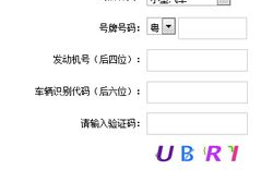 金盾网车辆违章查询,金盾网交通违章，专业化有保障的违章信息查询网站