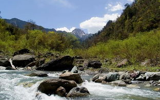 东拉山大峡谷风景区,雅安的大峡谷在什么位置