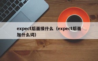 expect后面接什么（expect后面加什么词）