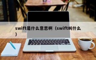 swift是什么意思啊（swift叫什么）