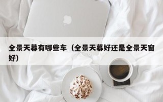 全景天幕有哪些车（全景天幕好还是全景天窗好）