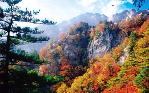 广州白云山门票,白云山门票多少钱