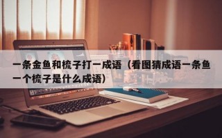 一条金鱼和梳子打一成语（看图猜成语一条鱼一个梳子是什么成语）