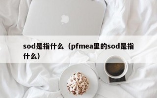 sod是指什么（pfmea里的sod是指什么）