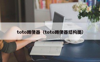 toto蹲便器（toto蹲便器结构图）