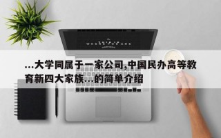 ...大学同属于一家公司,中国民办高等教育新四大家族...的简单介绍