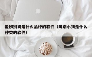 能辨别狗是什么品种的软件（辨别小狗是什么种类的软件）