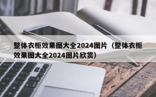 整体衣柜效果图大全2024图片（整体衣柜效果图大全2024图片欣赏）