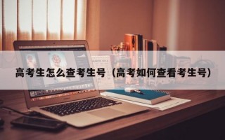 高考生怎么查考生号（高考如何查看考生号）