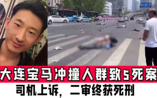 冲撞人群致5死司机获死刑,无证驾驶致五人死亡的交通事故司机要判多少年