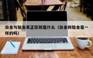 白金与铂金真正区别是什么（白金和铂金是一样的吗）