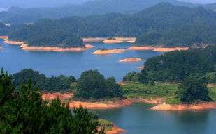 千岛湖旅游攻略,哪位亲有千岛湖自助游旅游攻略啊，两日的，苏州过去，最好详细一点哦