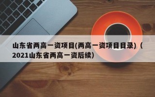 山东省两高一资项目(两高一资项目目录)（2021山东省两高一资后续）