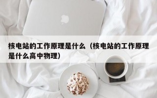 核电站的工作原理是什么（核电站的工作原理是什么高中物理）