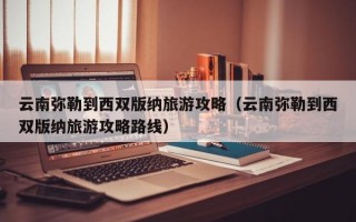 云南弥勒到西双版纳旅游攻略（云南弥勒到西双版纳旅游攻略路线）