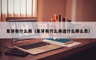 象牙有什么用（象牙有什么用途什么那么贵）