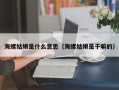 海螺姑娘是什么意思（海螺姑娘是干嘛的）