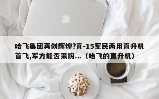 哈飞集团再创辉煌?直-15军民两用直升机首飞,军方能否采购...（哈飞的直升机）