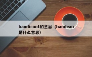 bandicoot的意思（bandeau是什么意思）