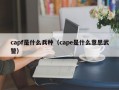 capf是什么兵种（cape是什么意思武警）