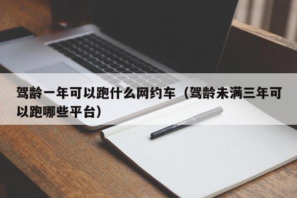 驾龄一年可以跑什么网约车（驾龄未满三年可以跑哪些平台）-第1张图片