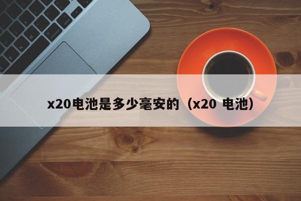 x20电池是多少毫安的（x20 电池）-第1张图片