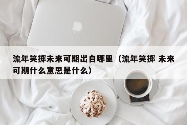 流年笑掷未来可期出自哪里（流年笑掷 未来可期什么意思是什么）-第1张图片