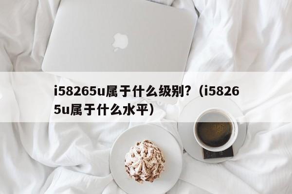 i58265u属于什么级别?（i58265u属于什么水平）-第1张图片