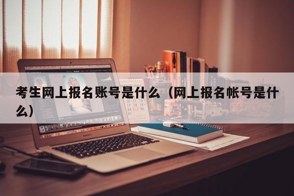 考生网上报名账号是什么（网上报名帐号是什么）-第1张图片