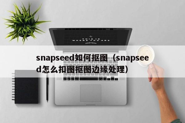 snapseed如何抠图（snapseed怎么扣图抠图边缘处理）-第1张图片