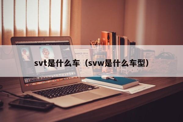 svt是什么车（svw是什么车型）-第1张图片