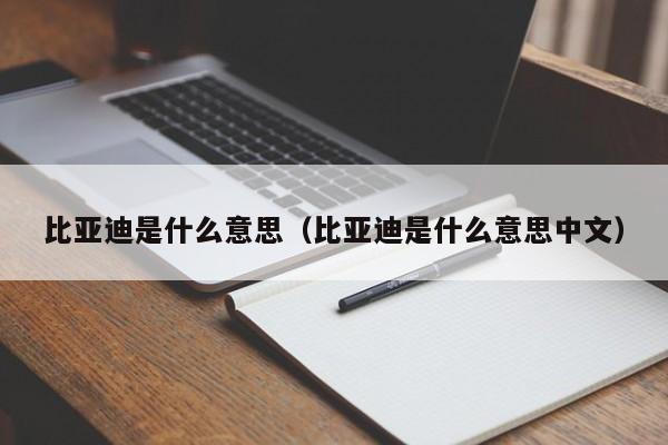 比亚迪是什么意思（比亚迪是什么意思中文）-第1张图片