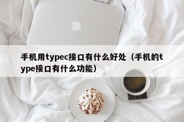 手机用typec接口有什么好处（手机的type接口有什么功能）-第1张图片