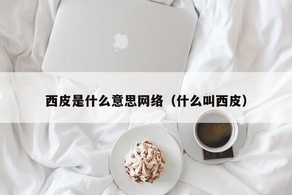 西皮是什么意思网络（什么叫西皮）-第1张图片