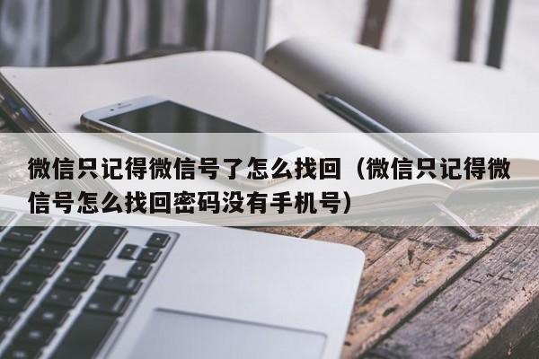 微信只记得微信号了怎么找回（微信只记得微信号怎么找回密码没有手机号）-第1张图片