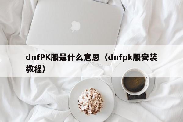 dnfPK服是什么意思（dnfpk服安装教程）-第1张图片